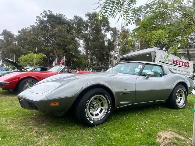 Chevrolet-corvette-1978-silver-14