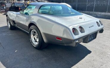 Chevrolet-corvette-1978-silver-2