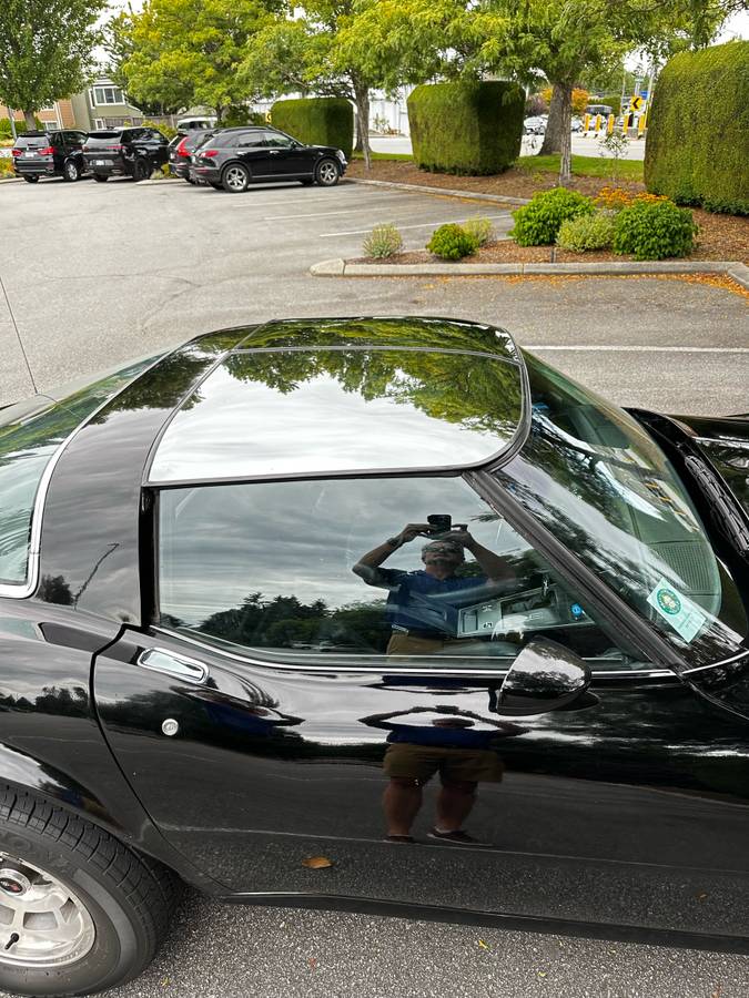 Chevrolet-corvette-1979-black-10