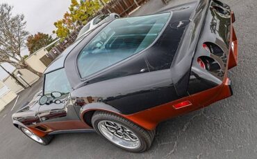 Chevrolet-corvette-1979-black-11