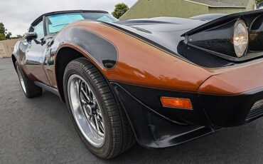 Chevrolet-corvette-1979-black-14