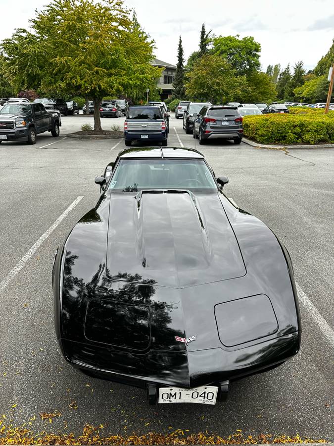 Chevrolet-corvette-1979-black-3