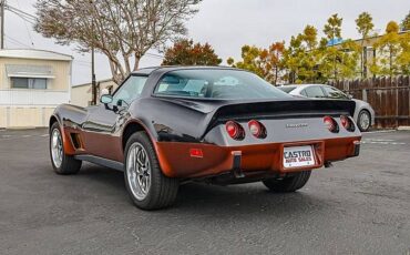 Chevrolet-corvette-1979-black-30