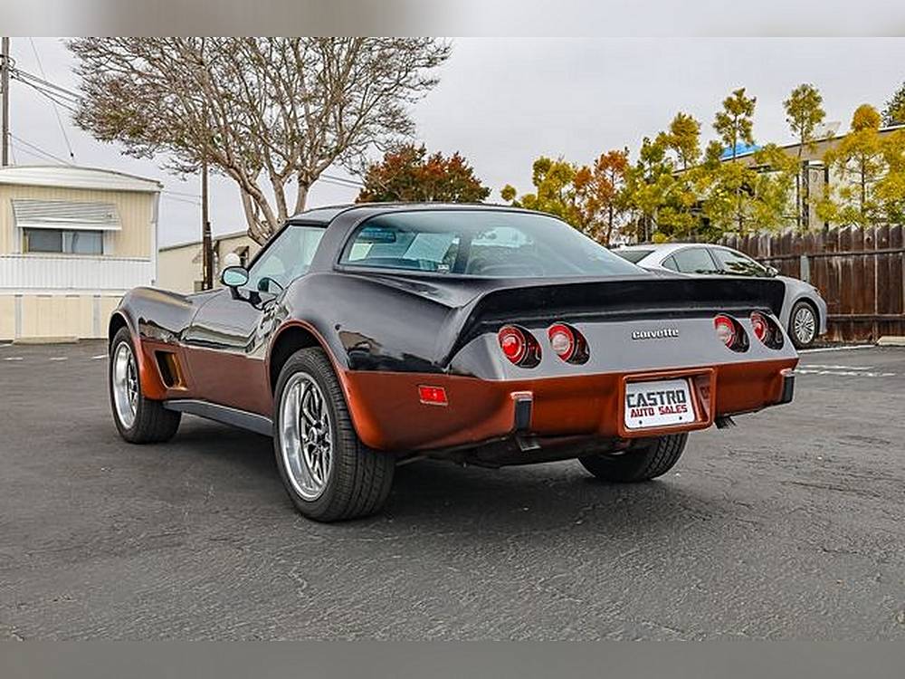 Chevrolet-corvette-1979-black-30