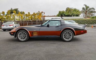 Chevrolet-corvette-1979-black-31