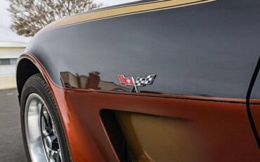 Chevrolet-corvette-1979-black-34