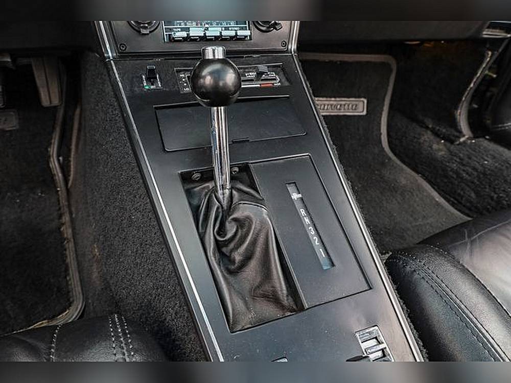 Chevrolet-corvette-1979-black-45