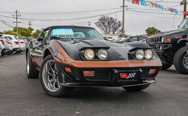 Chevrolet-corvette-1979-black-49