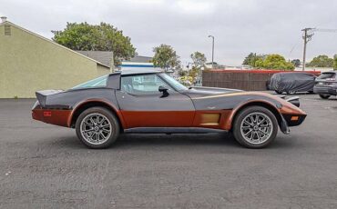 Chevrolet-corvette-1979-black-5