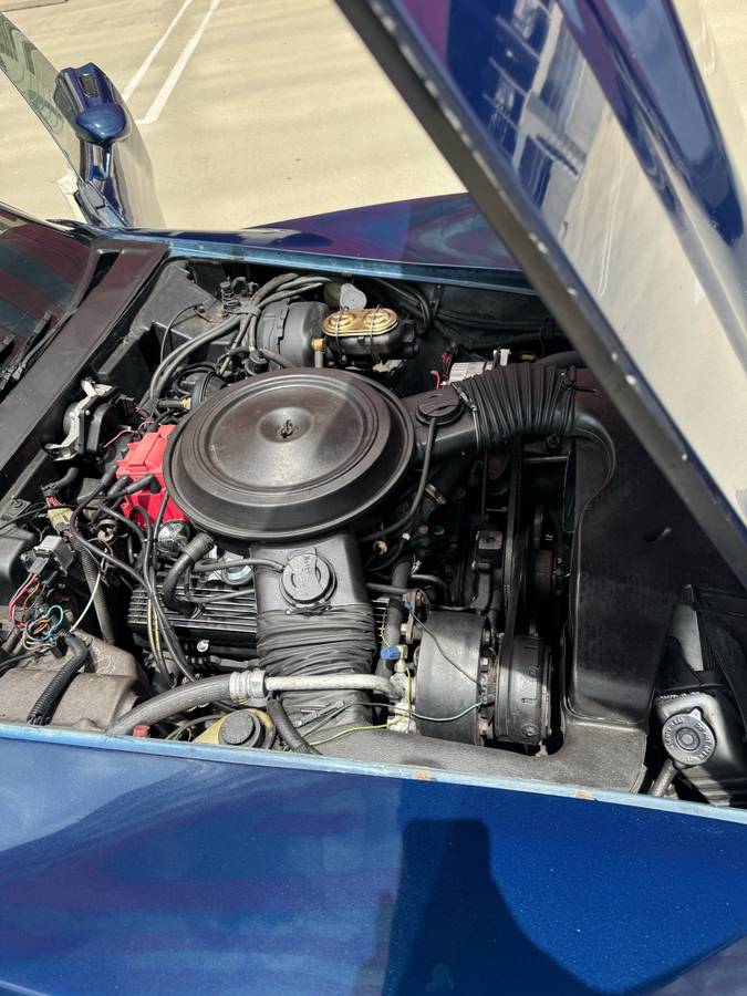 Chevrolet-corvette-1979-blue-13