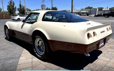Chevrolet-corvette-1980-171