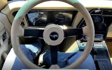 Chevrolet-corvette-1980-230