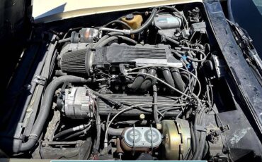 Chevrolet-corvette-1980-236