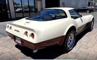 Chevrolet-corvette-1980-73