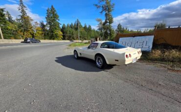 Chevrolet-corvette-1980-white-10
