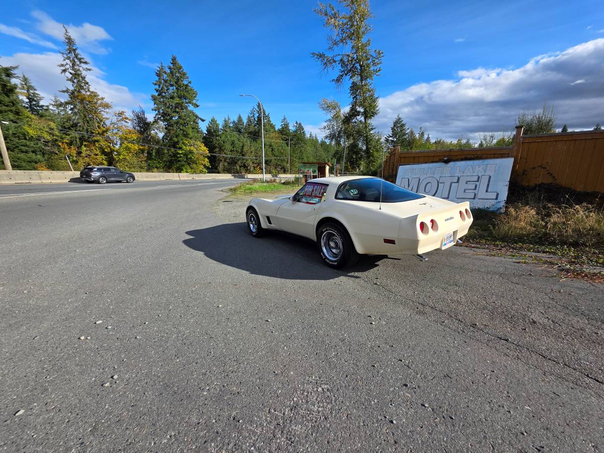 Chevrolet-corvette-1980-white-10