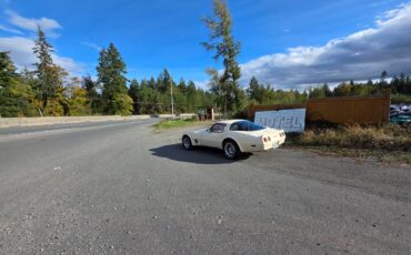 Chevrolet-corvette-1980-white-11