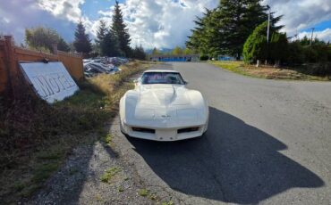 Chevrolet-corvette-1980-white-12