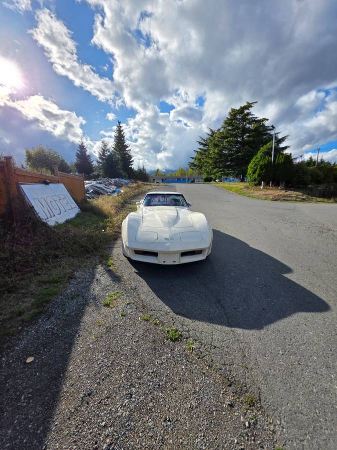 Chevrolet-corvette-1980-white-12