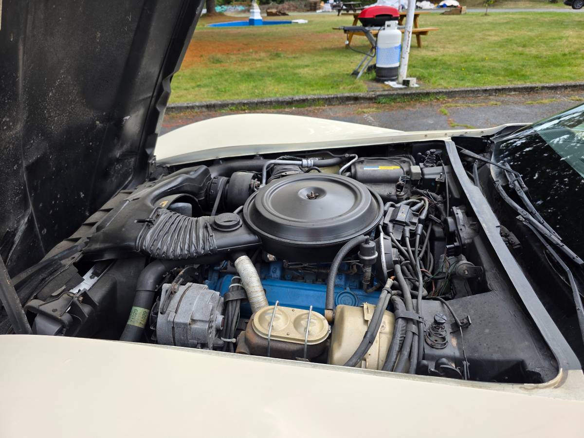 Chevrolet-corvette-1980-white-2