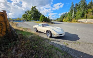 Chevrolet-corvette-1980-white-3