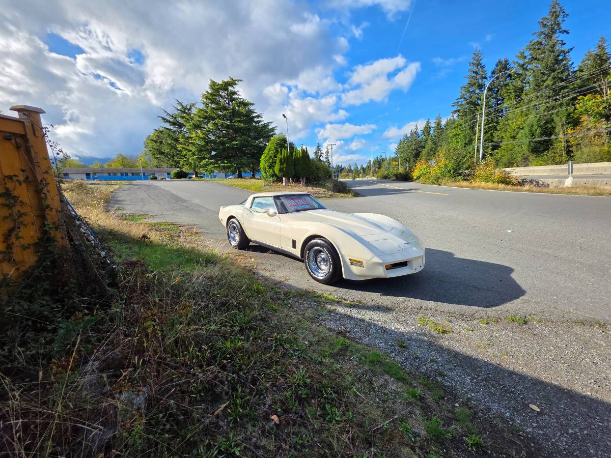 Chevrolet-corvette-1980-white-3