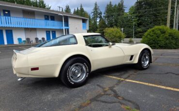 Chevrolet-corvette-1980-white-5