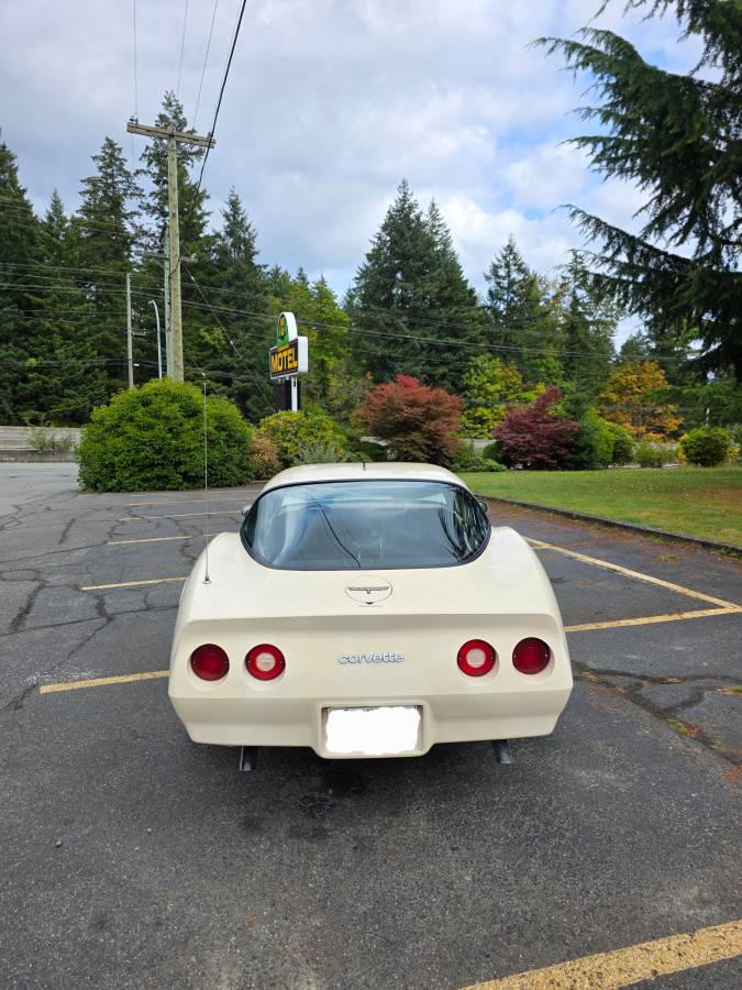 Chevrolet-corvette-1980-white-7
