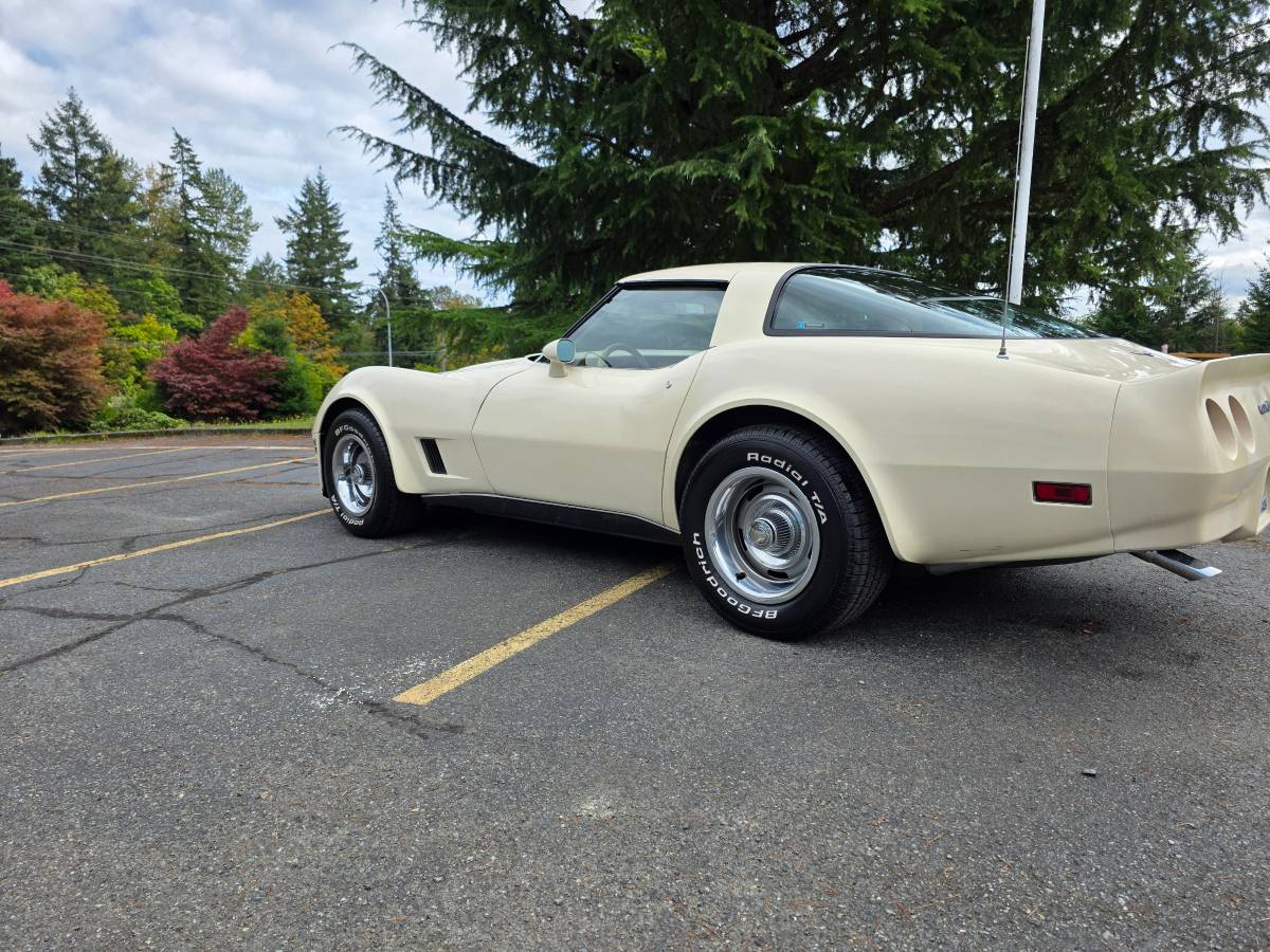 Chevrolet-corvette-1980-white-8