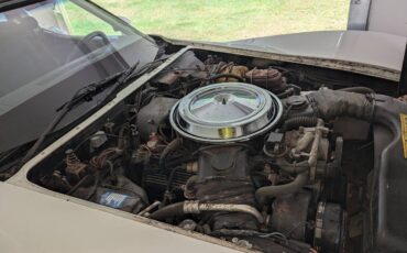Chevrolet-corvette-1981-7