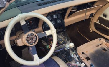 Chevrolet-corvette-1981-custom-10