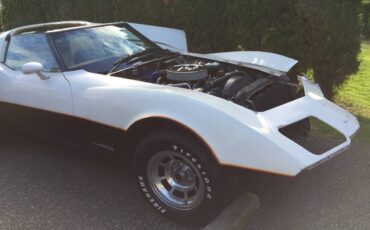 Chevrolet-corvette-1981-custom-3