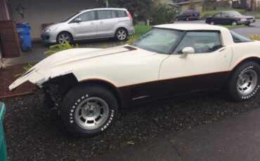Chevrolet-corvette-1981-custom-5