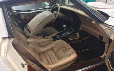 Chevrolet-corvette-1981-custom-6
