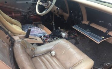 Chevrolet-corvette-1981-custom-9