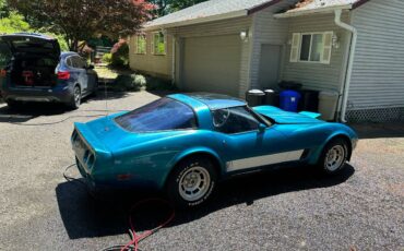 Chevrolet-corvette-1981-green-1