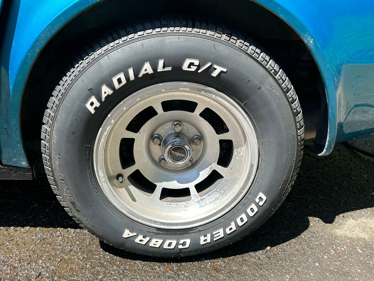 Chevrolet-corvette-1981-green-4