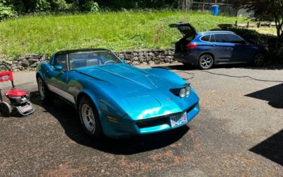 Chevrolet corvette 1981