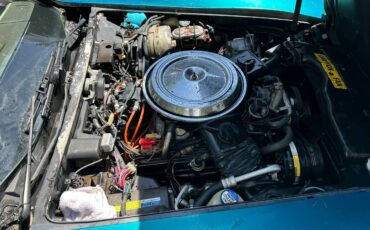 Chevrolet-corvette-1981-green-8