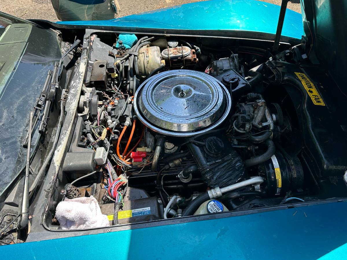 Chevrolet-corvette-1981-green-8