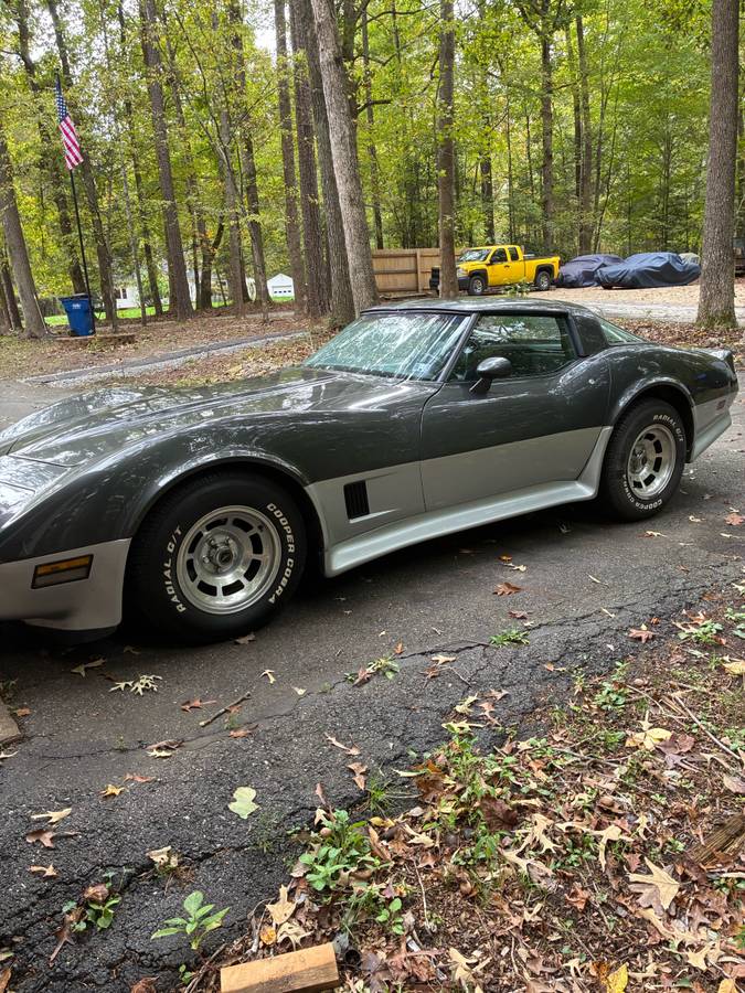 Chevrolet-corvette-1981-grey
