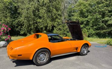 Chevrolet-corvette-coupe-1977-5