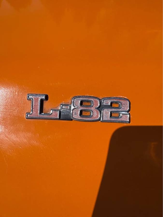 Chevrolet-corvette-coupe-1977-8