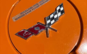 Chevrolet-corvette-coupe-1977-9