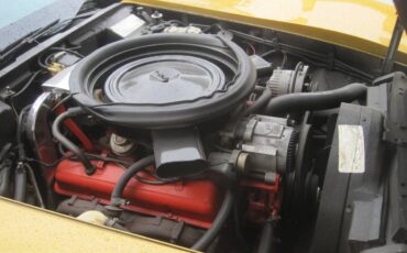 Chevrolet-corvette-stingray-1973-6