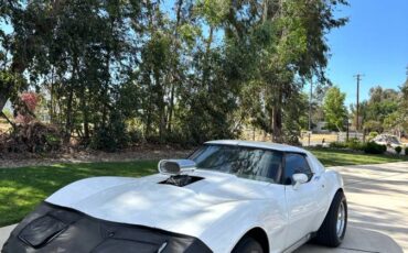 Chevrolet-corvette-stingray-1977-white-14