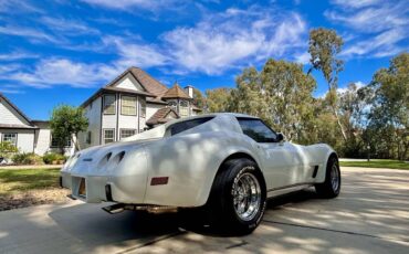 Chevrolet-corvette-stingray-1977-white-7
