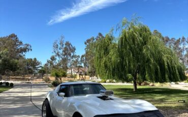 Chevrolet-corvette-stingray-1977-white-8