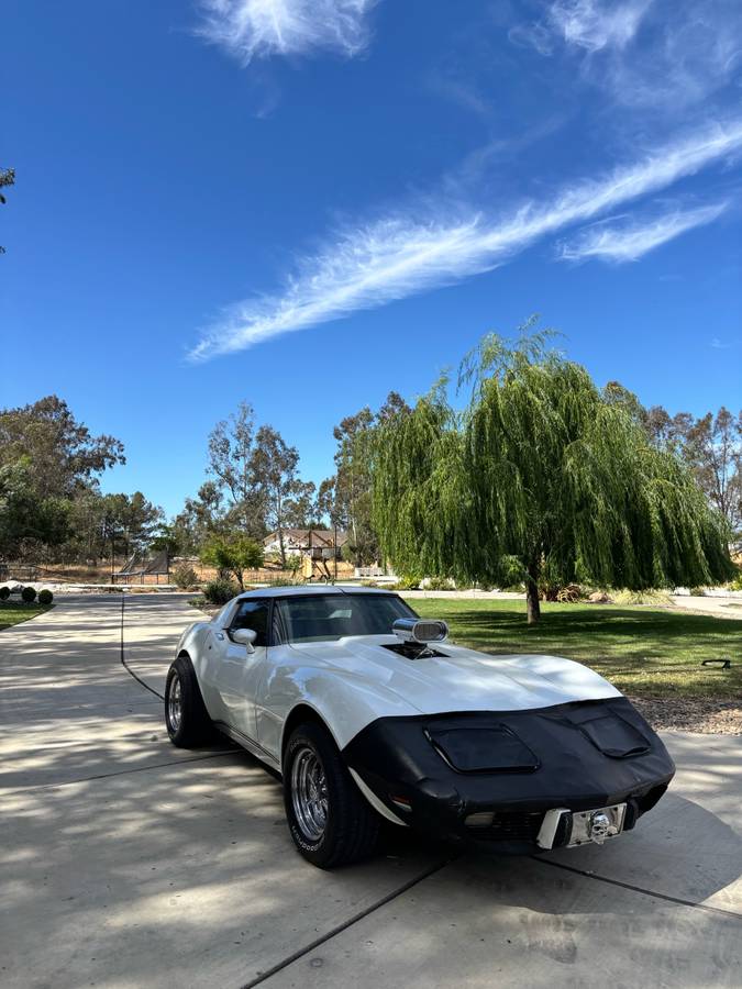 Chevrolet-corvette-stingray-1977-white-8
