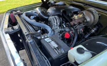 Chevrolet-cst-20-1970-green-5
